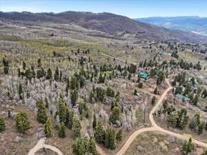 Aerial view of a mountainous background