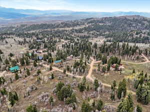 Drone / aerial view of a mountainous background and a forest