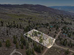 Aerial view of property and surrounding area with property parcel outlined and a mountainous background