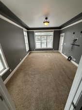 Empty room with healthy amount of natural light, carpet floors, and crown molding