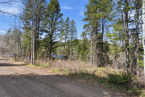 View of dirt / gravel road