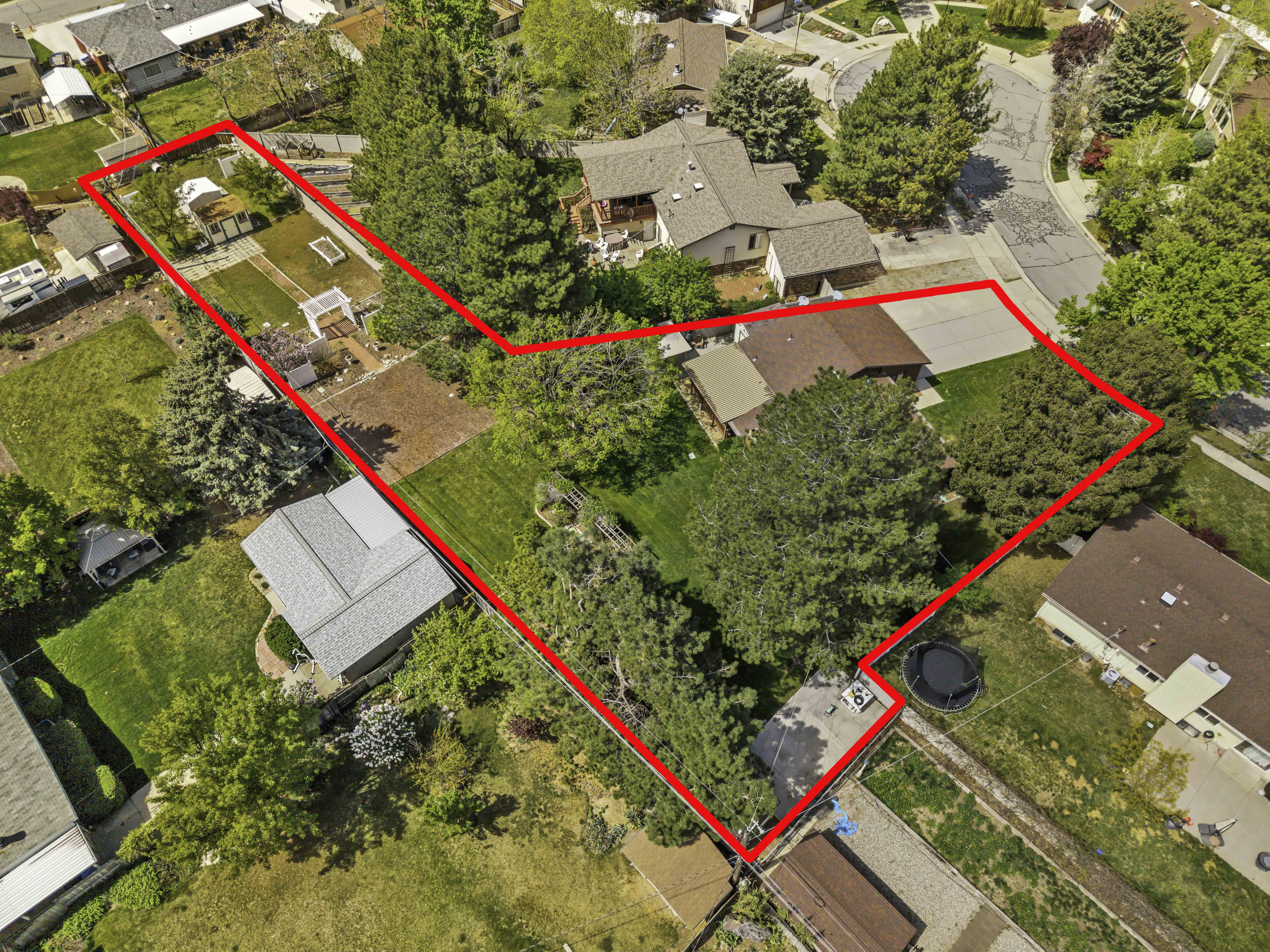 Expansive property outlined by a red boundary, featuring mature trees and a manicured lawn