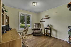 Home office featuring crown molding and hardwood / wood-style flooring