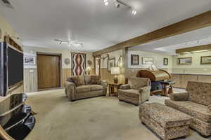 Living room featuring track lighting, wainscoting, wood walls, and light colored carpet