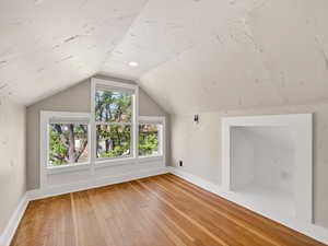Views of tree-lined street