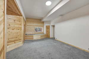 Additional living space with wood walls and carpet floors