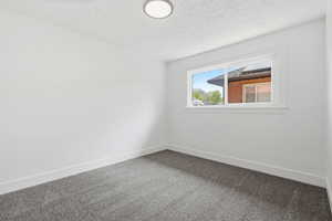 Empty room featuring carpet floors and a textured ceiling