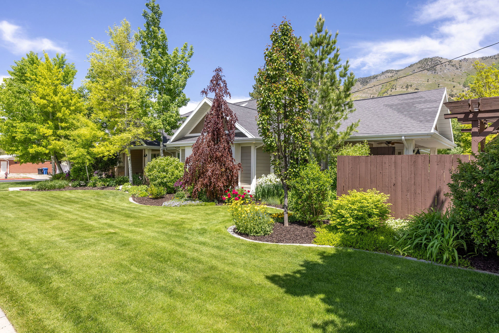 View of front yard