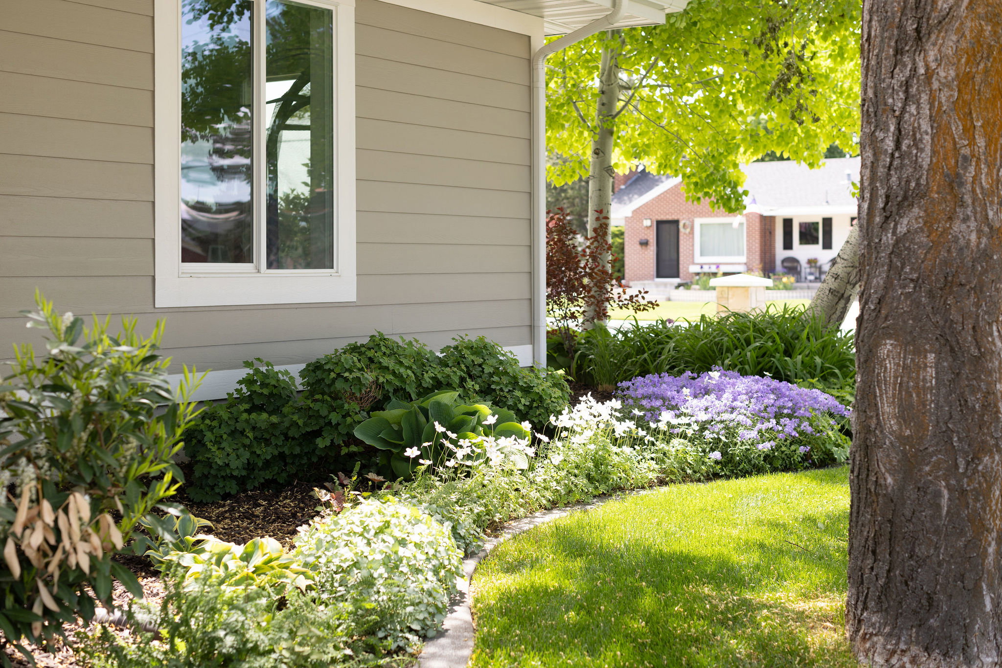 View of yard and landscaping