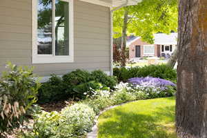 View of yard and landscaping
