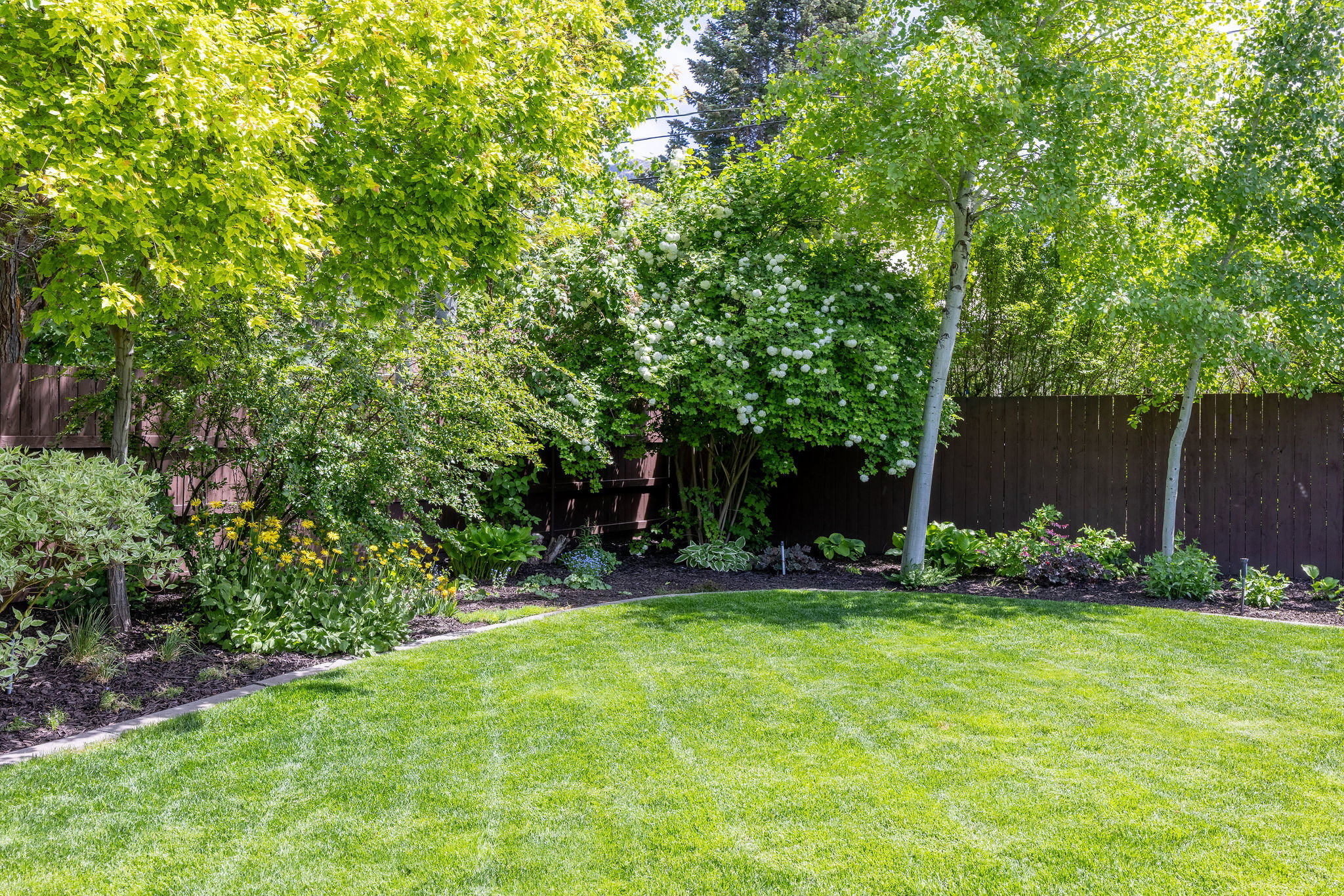 View of fenced yard
