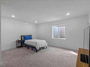 Basement primary bedroom.