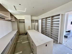 Primary bedroom closet