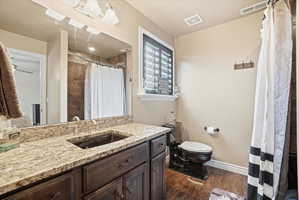 Bathroom featuring vanity, curtained shower, and dark wood-type flooring