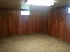 Basement with carpet flooring and wood walls