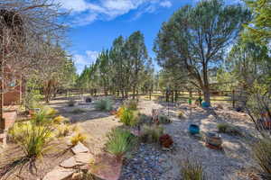 View of fenced backyard