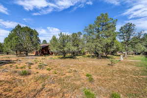 View of yard with a view of rural / pastoral area