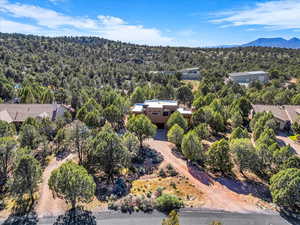 Drone / aerial view of a forest and a mountainous background