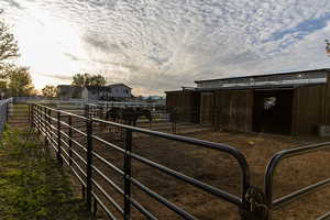 SEPARATED HORSE RUNS