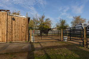 SEPARATED HORSE RUNS