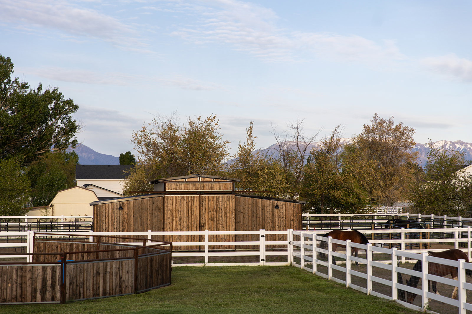 YARD VIEW FROM  BACK DECK