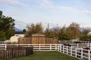 YARD VIEW FROM  BACK DECK