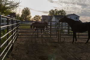 SEPARATED HORSE RUNS