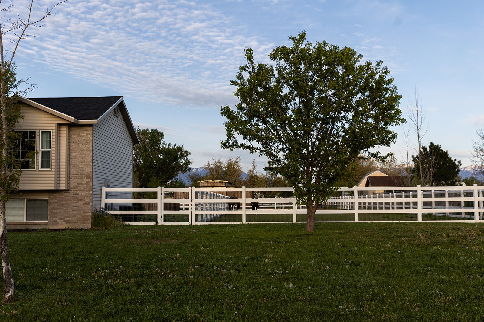 FRONT YARD