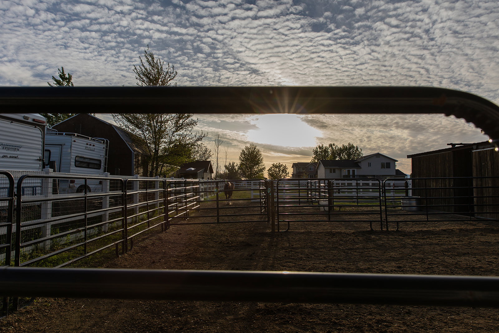 Yard at dusk