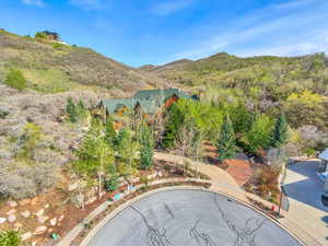 Drone / aerial view of a mountainous background