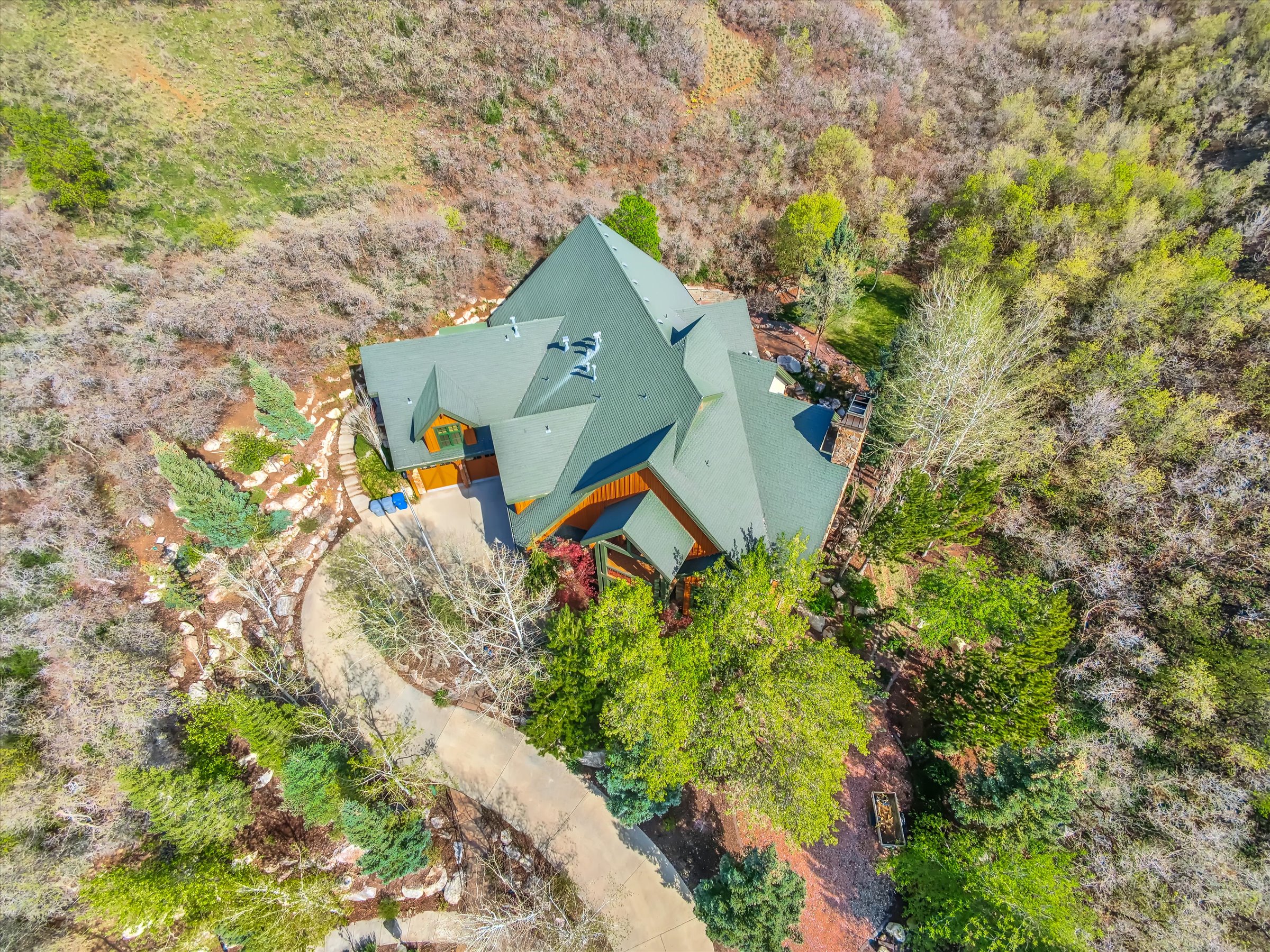 Another gorgeous aerial with a view of the little canyon behind the property.