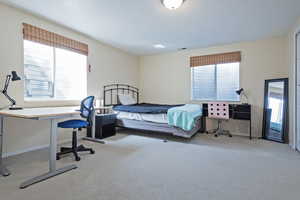 Bedroom featuring light carpet and multiple windows