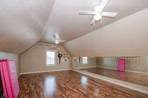 Bonus room! (was used as a dance room but could be anything you wanted)