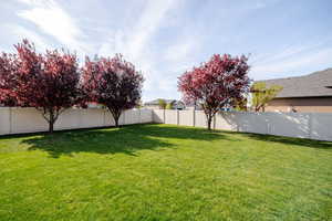 Fully fenced backyard and mature trees