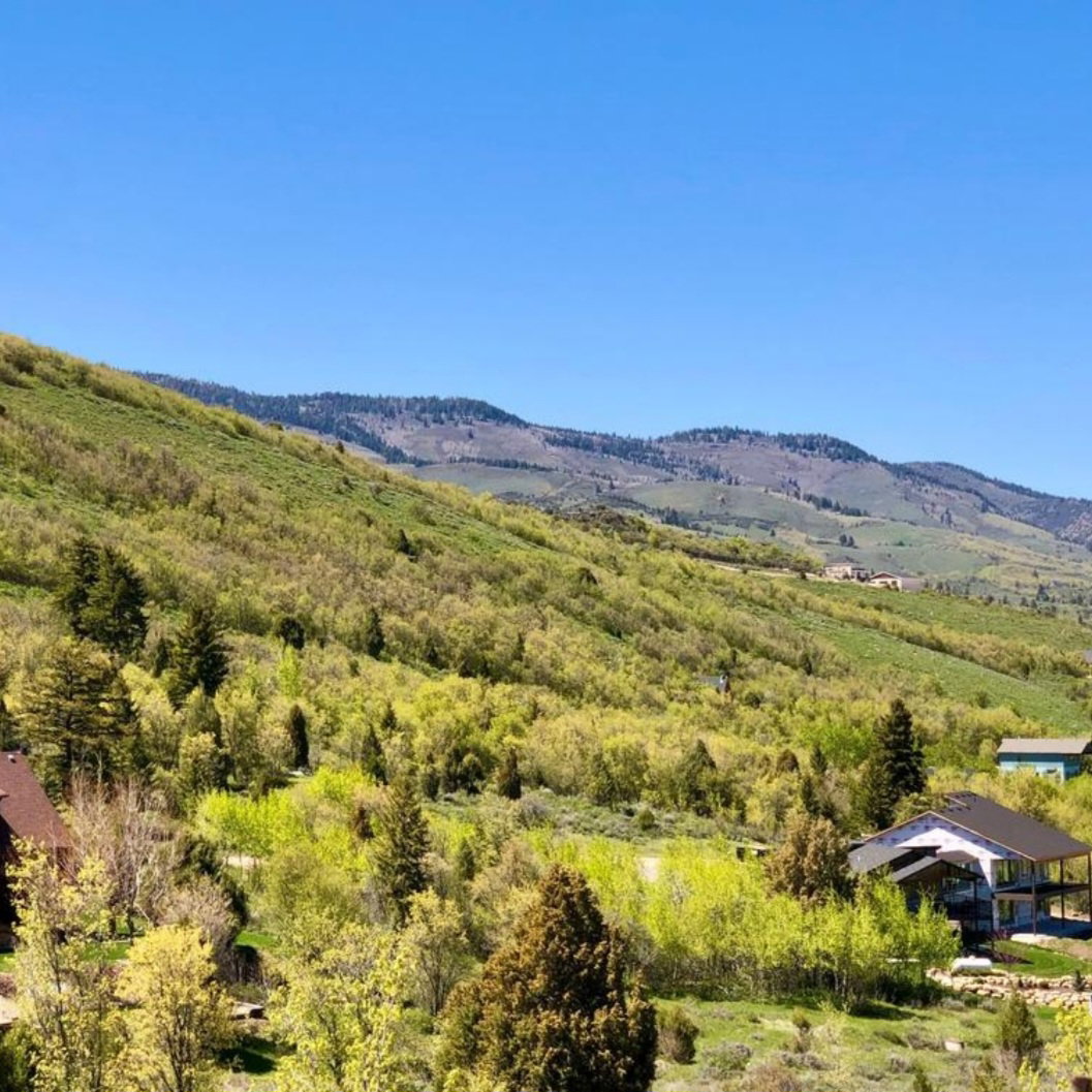 Mountain view