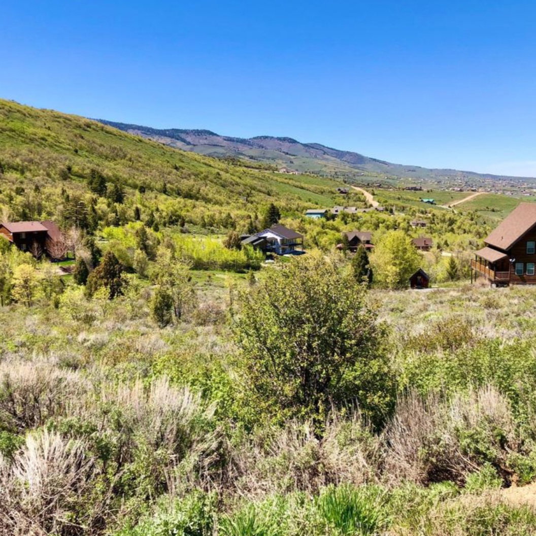 Expansive hillside property with distant mountain range, featuring dense natural foliage and scattered residential structures