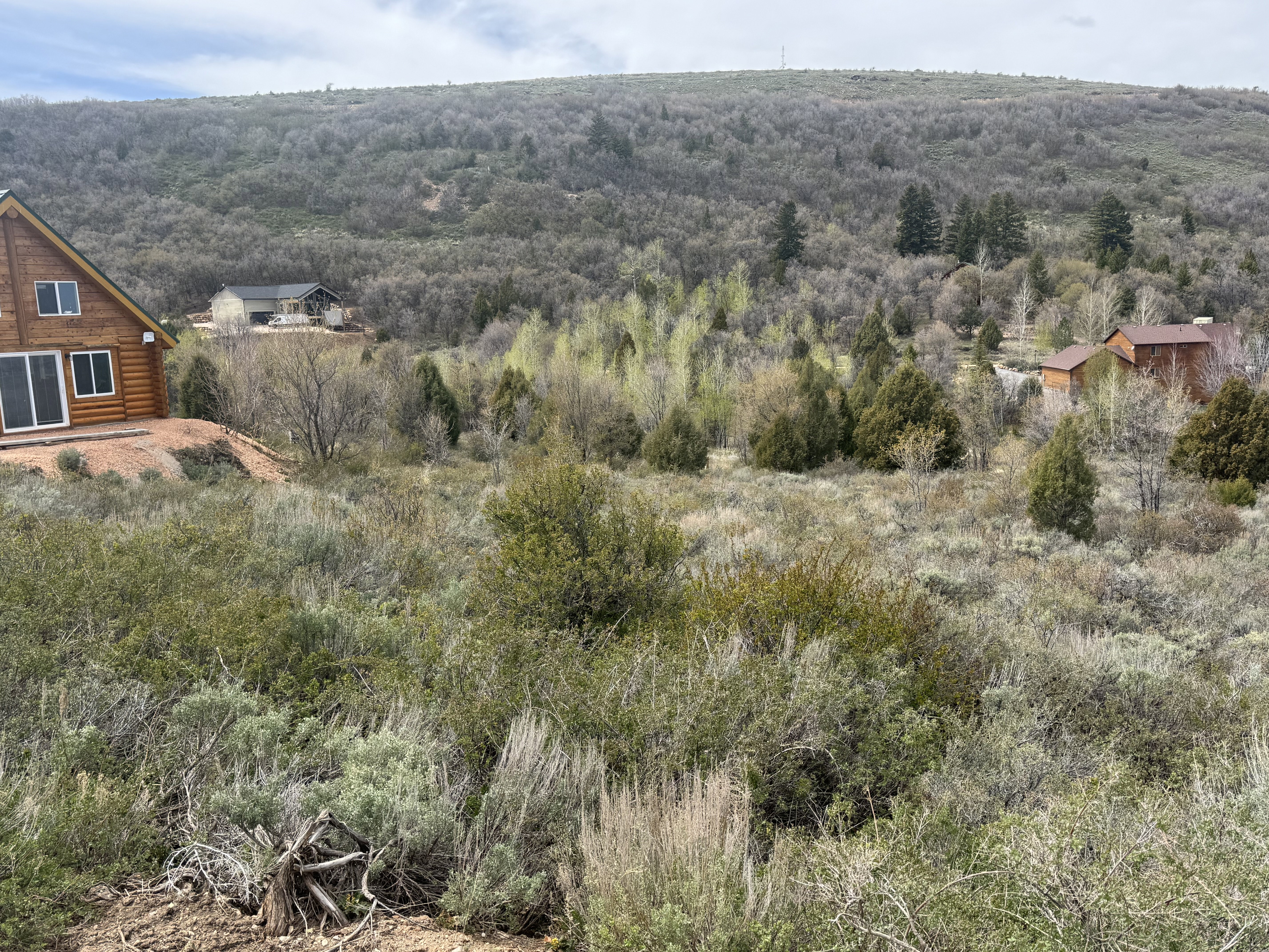 View of mountain backdrop featuring a forest
