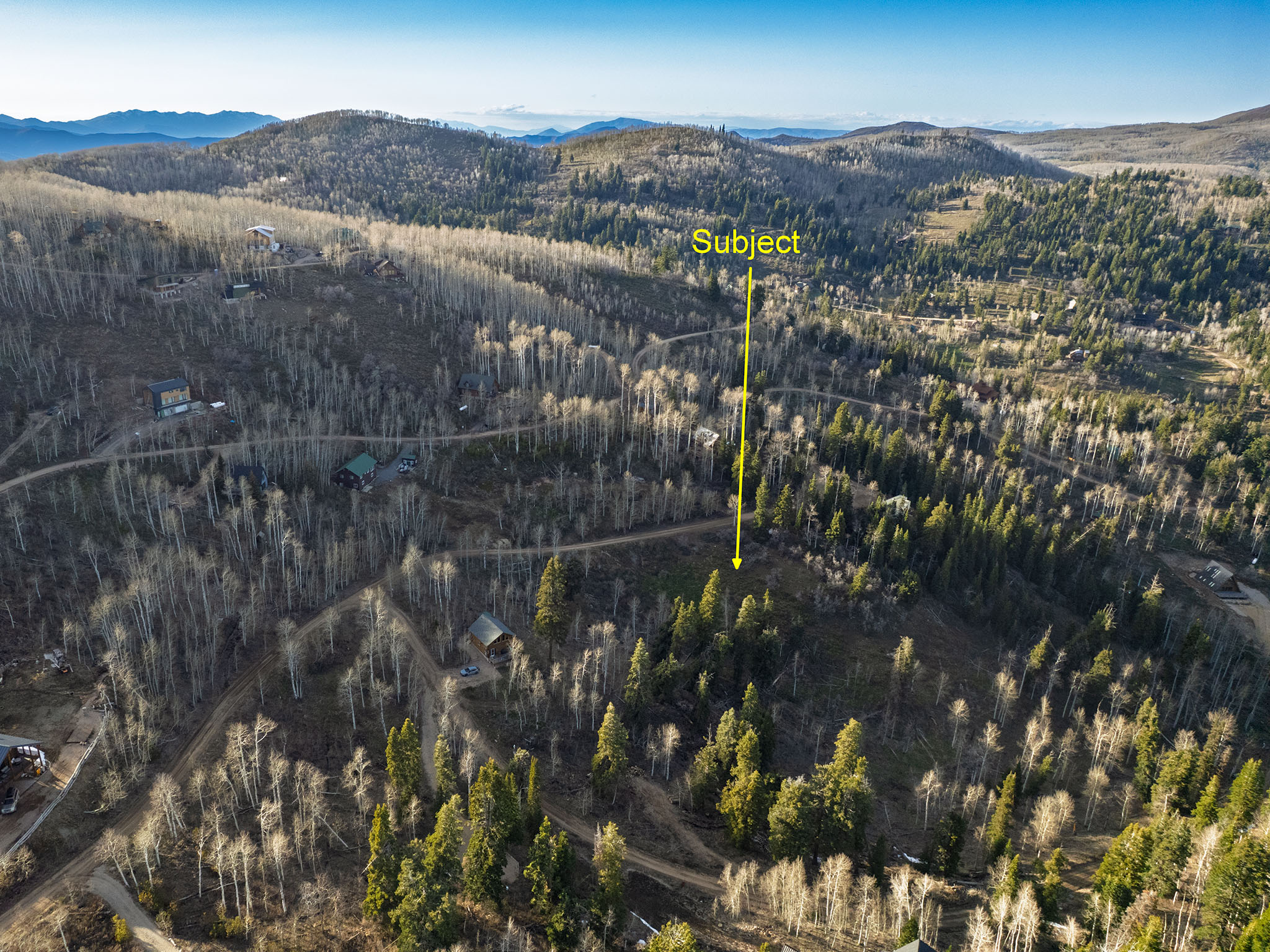 Drone / aerial view of a heavily wooded area and a mountainous background