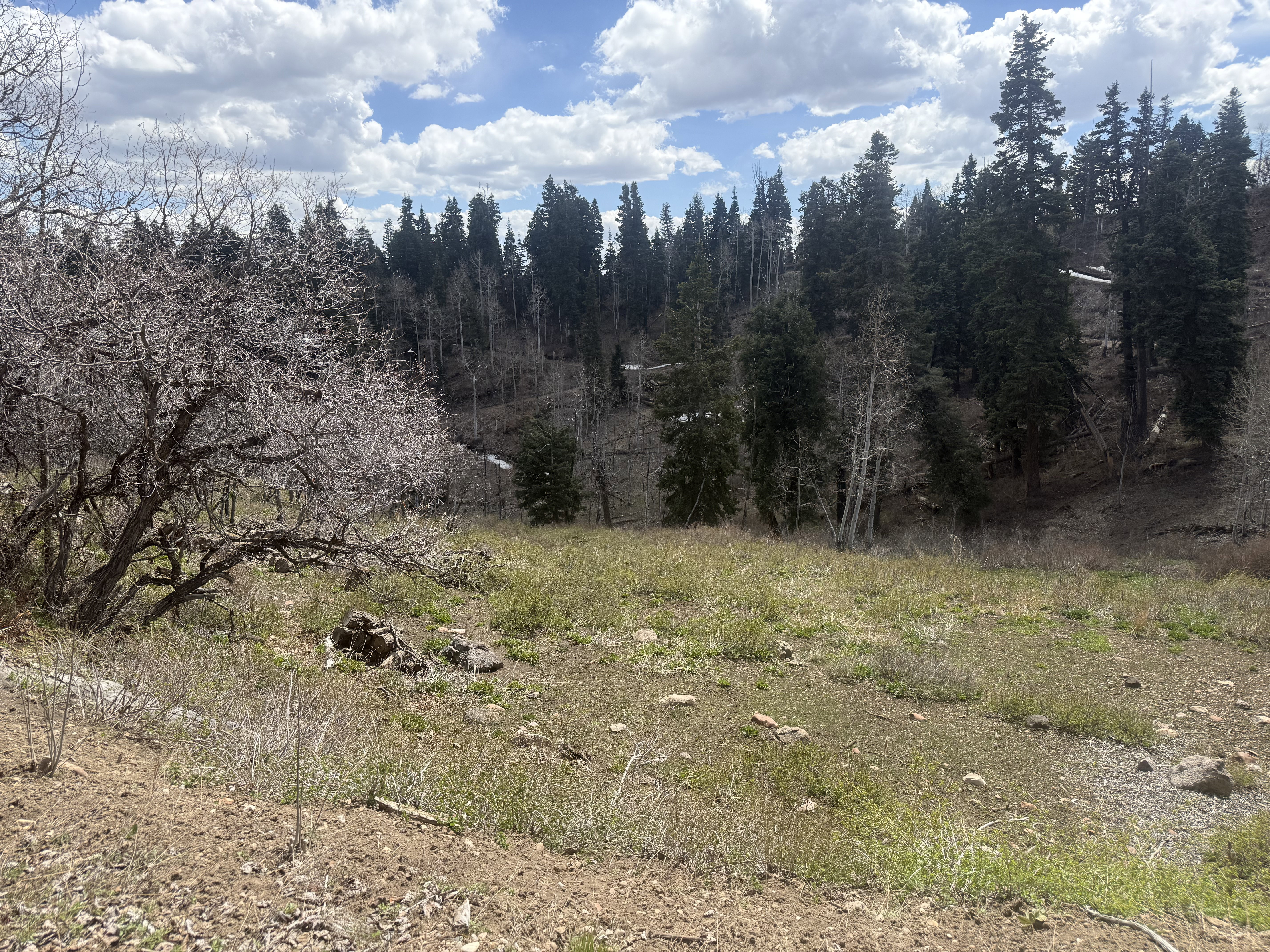 View of undeveloped land