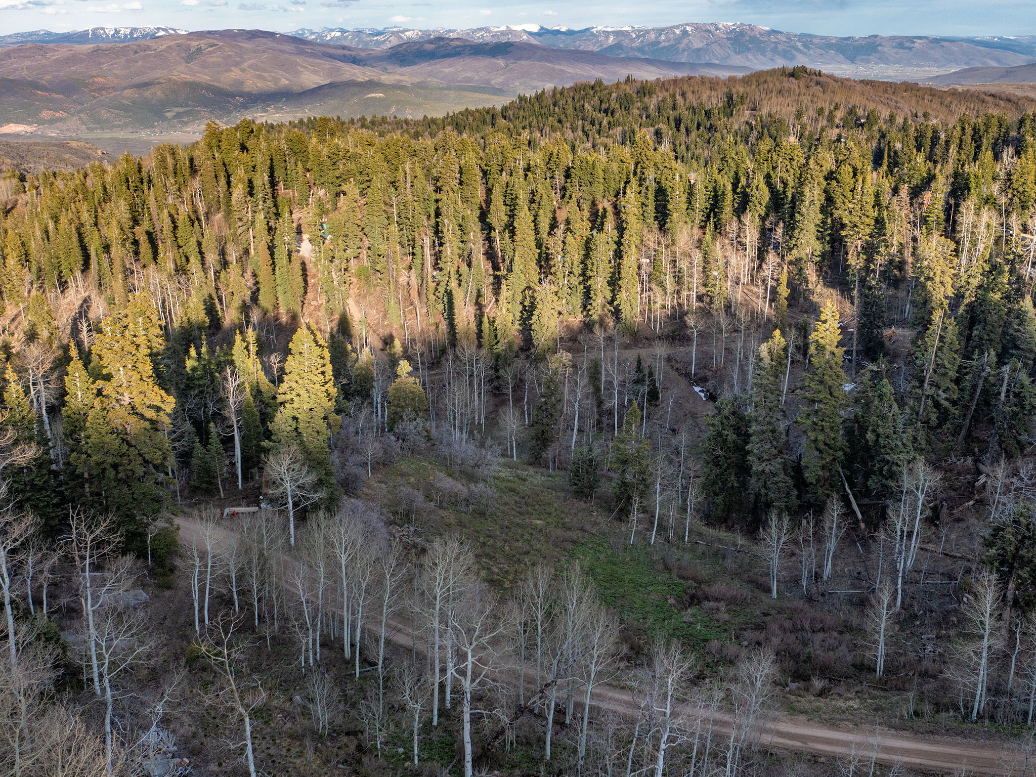 View of mountain background featuring a heavily wooded area