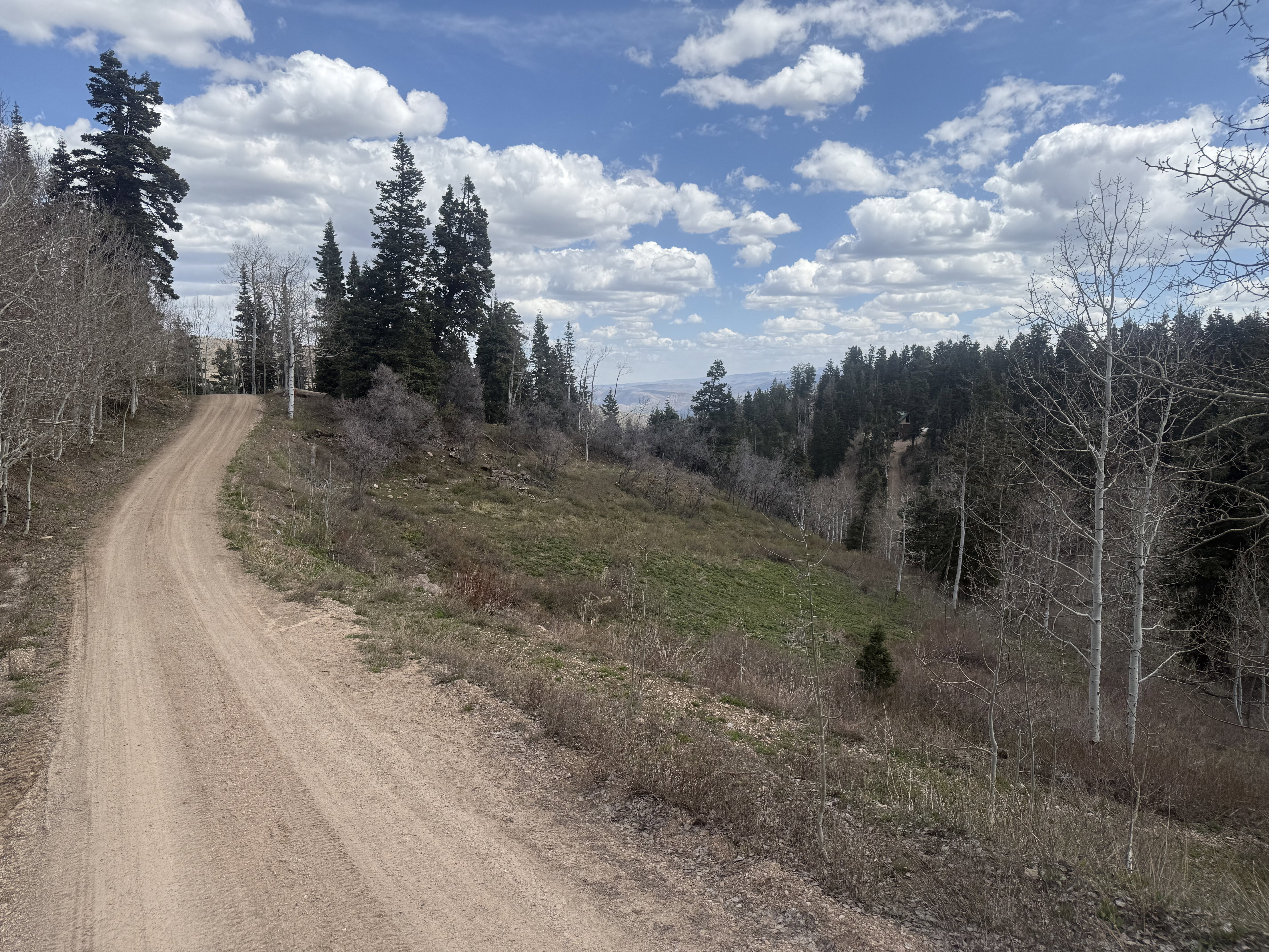 View of dirt / gravel road