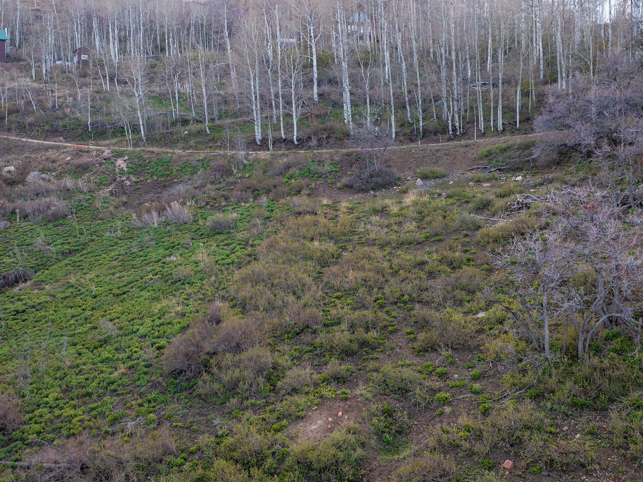 View of undeveloped land