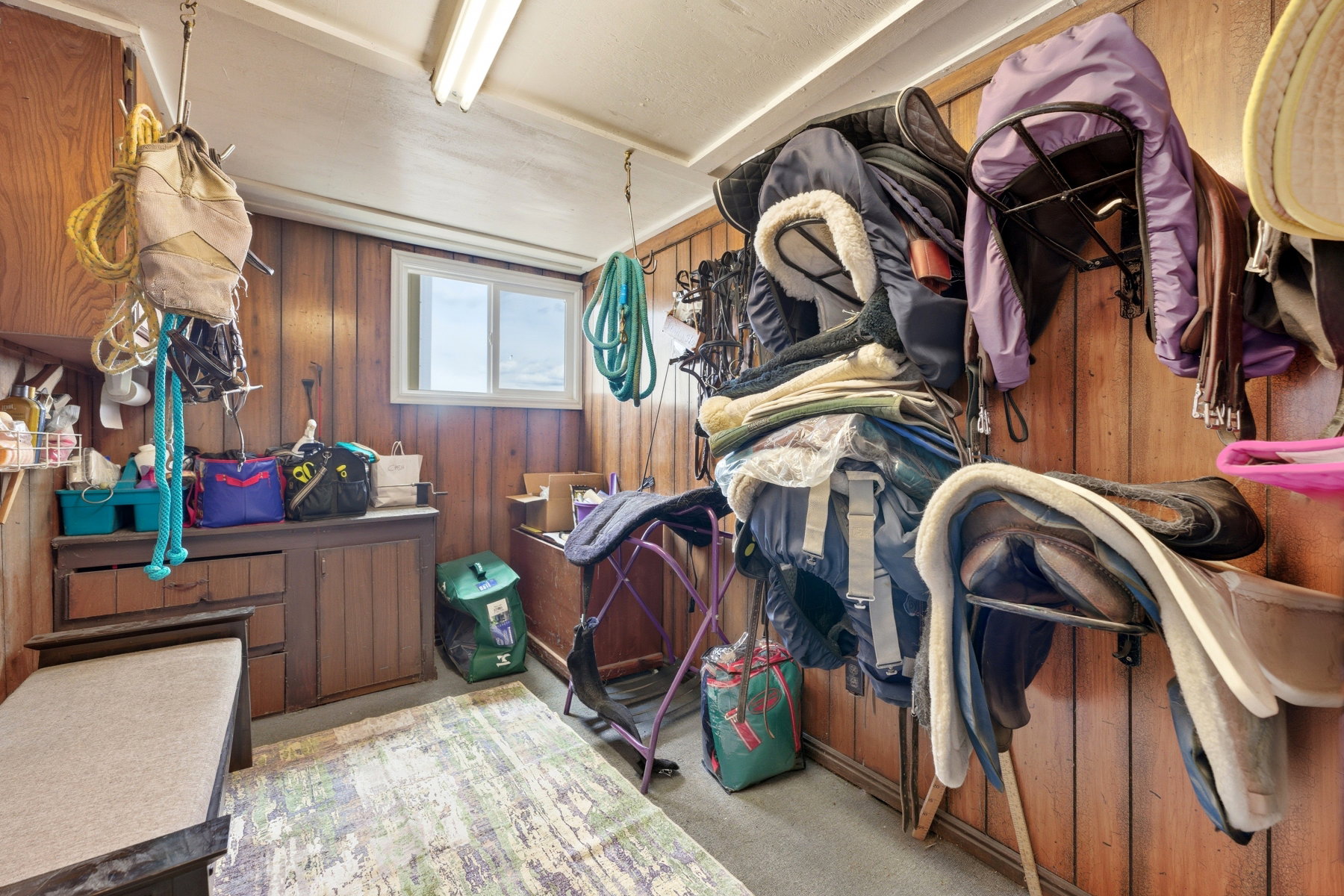 Miscellaneous room featuring light colored carpet and wooden walls