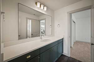 Bathroom featuring vanity and dark wood-style floors