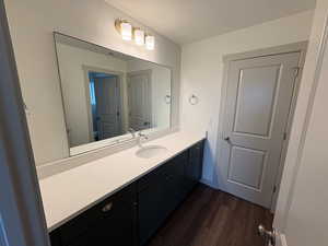 Bathroom featuring vanity, dark wood-type flooring, and a textured ceiling