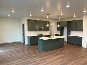 Kitchen featuring tasteful backsplash, an island with sink, dark wood finished floors, and stainless steel appliances