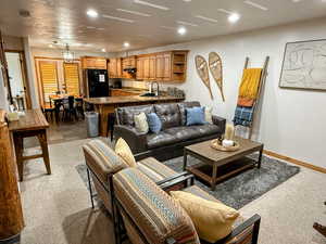Living room with light colored carpet and recessed lighting