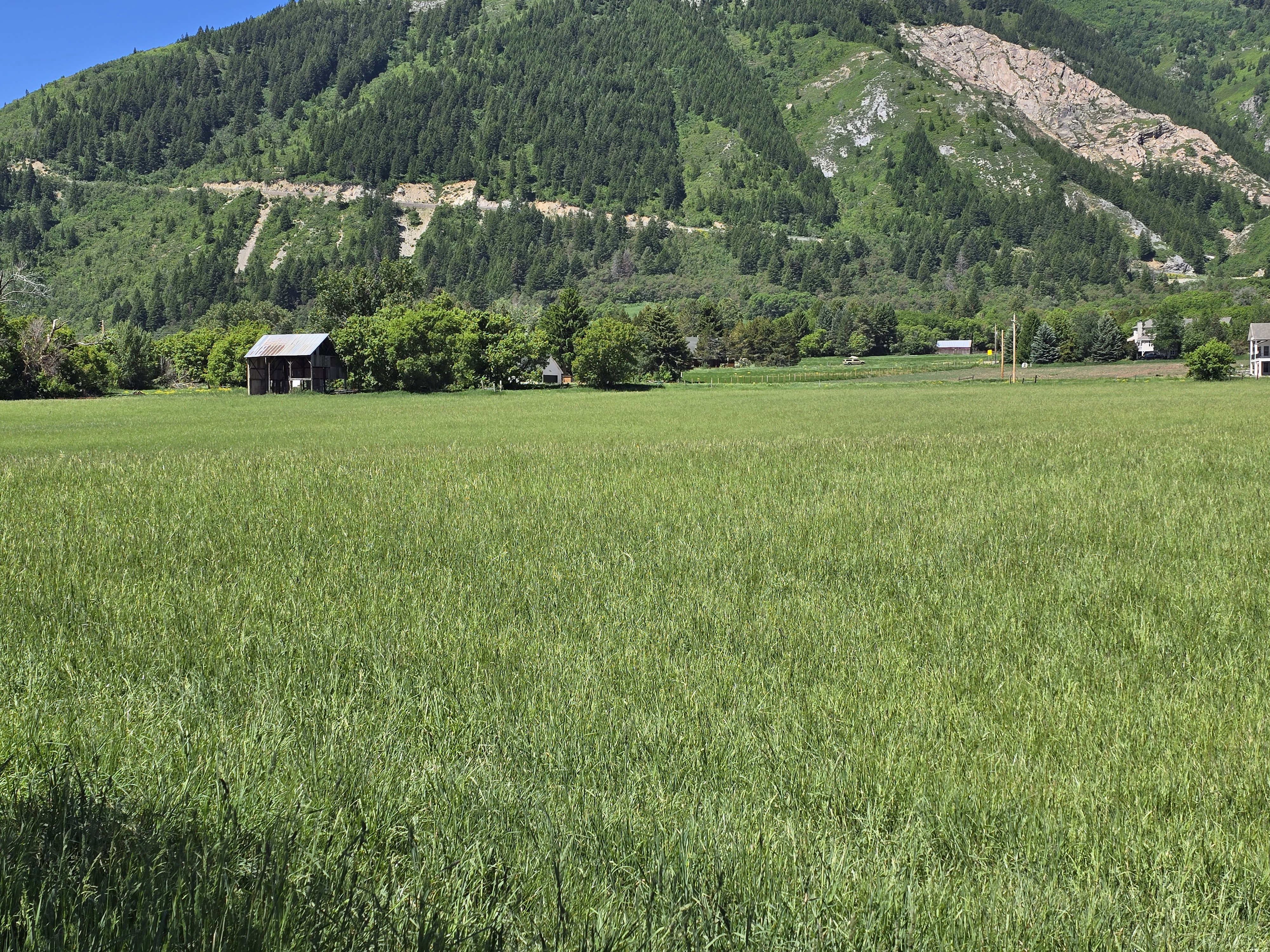 Mountain view featuring rural landscape