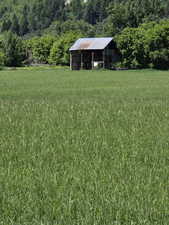 View of green lawn with an outbuilding and a view of countryside
