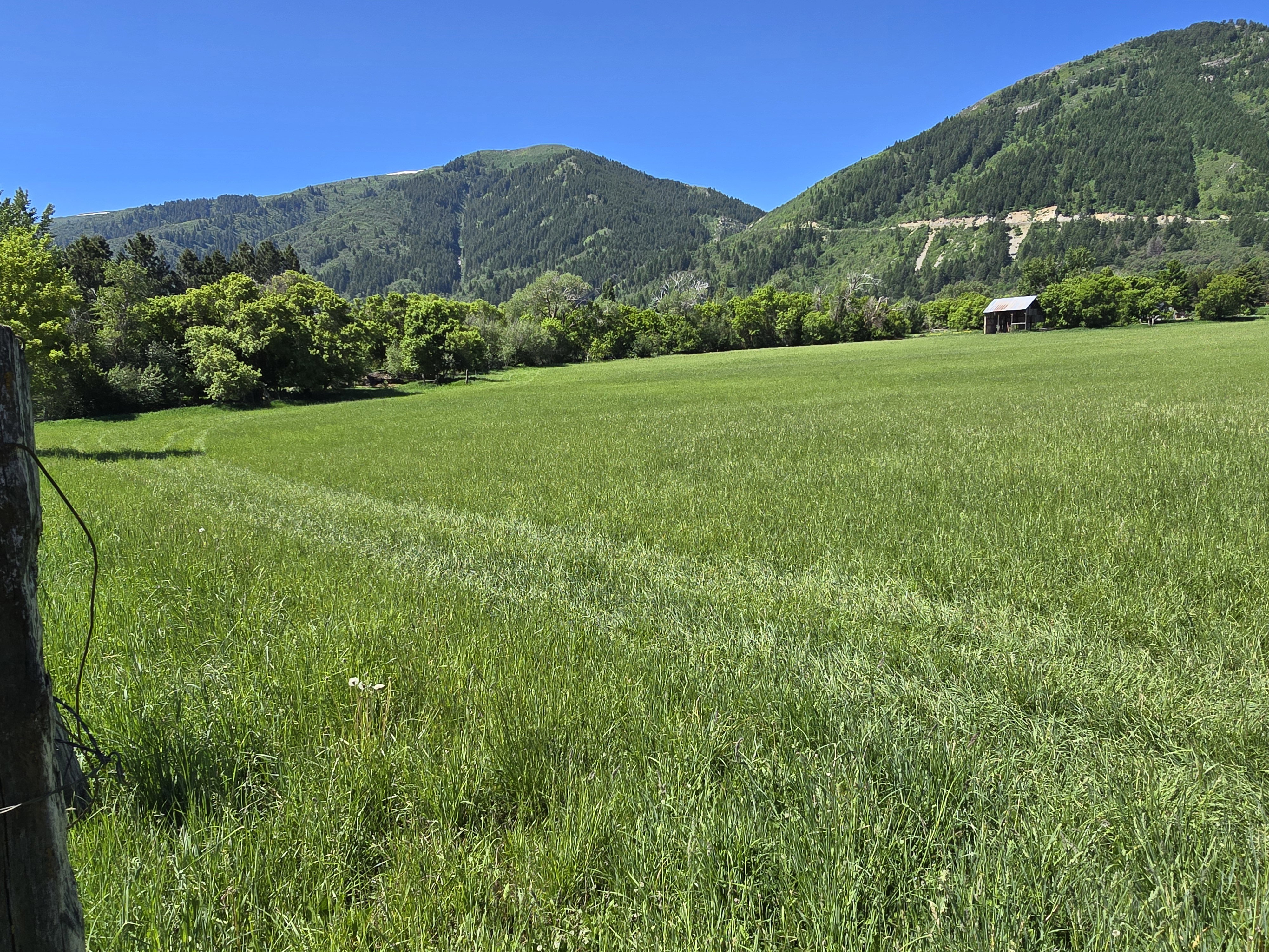 View of mountain backdrop with rural landscape and a forest